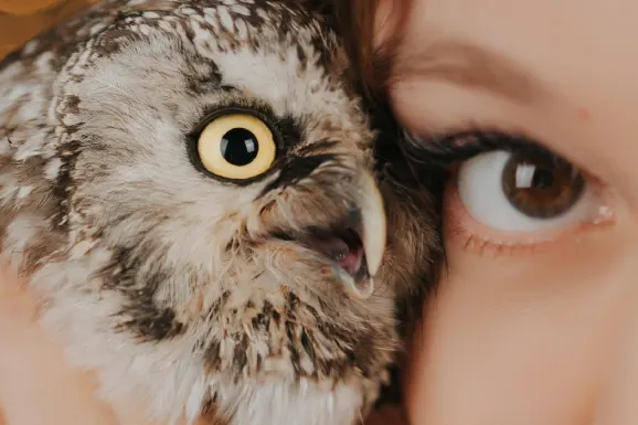 カジノ ラッキー 31 サポート